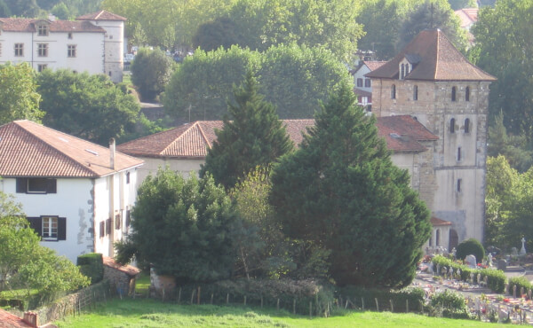 Espelette
